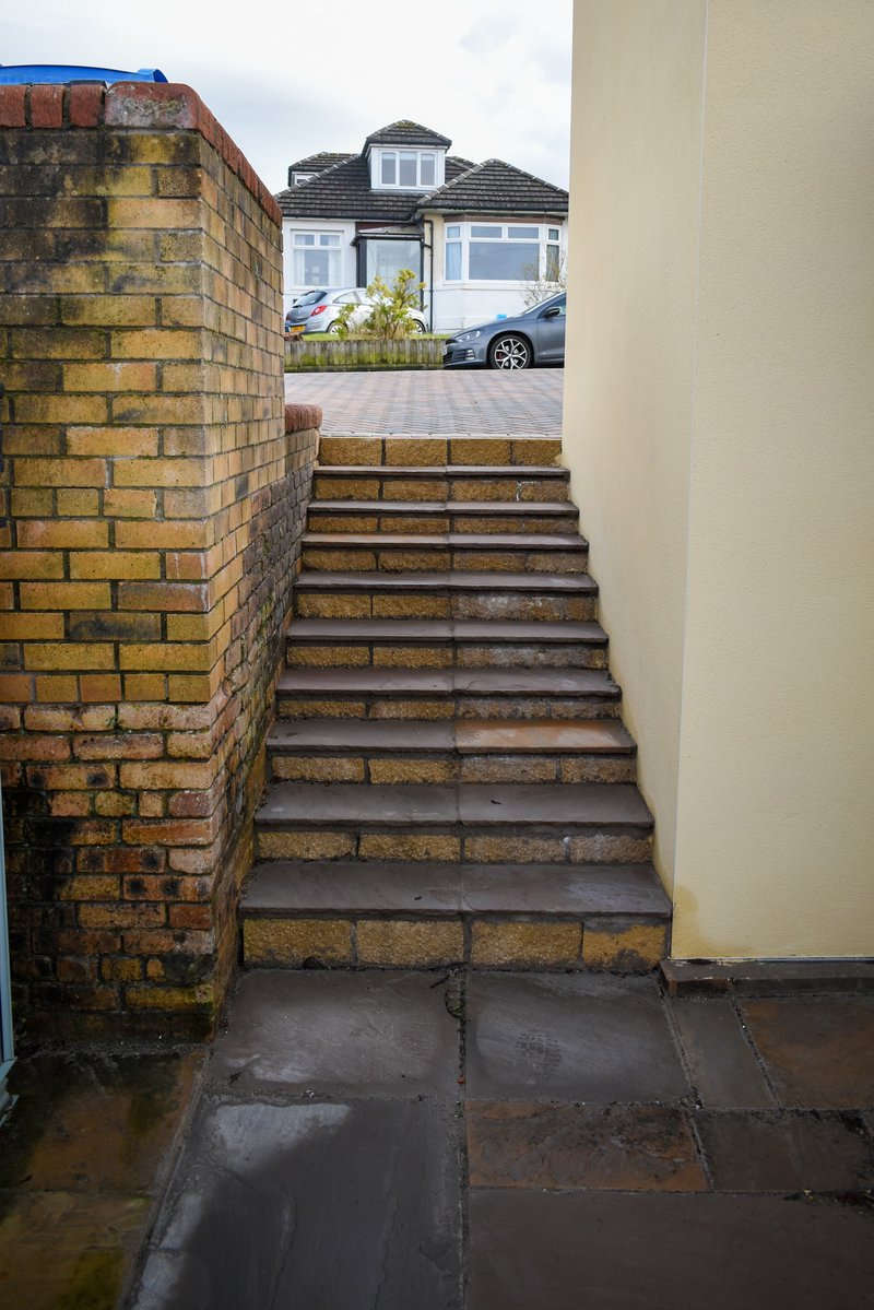 Paradigm Landscapes 🌿 tweet media