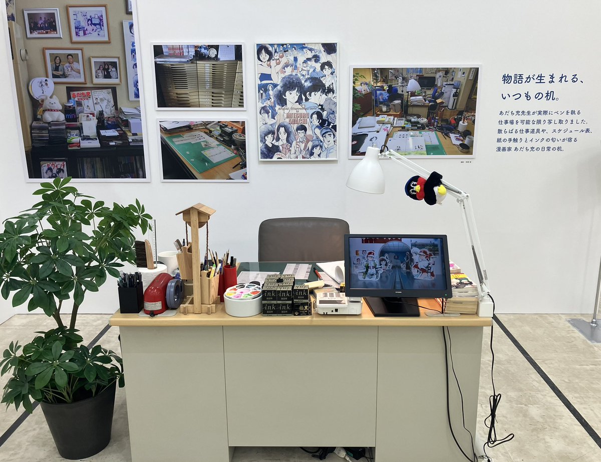 こむぎ (@kmg_chaan) / Posts and Replies / X