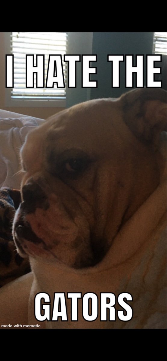 rodnwaters's tweet image. I like this one the best.