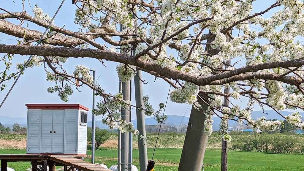 マリマリ (@marimari617) / Posts / X