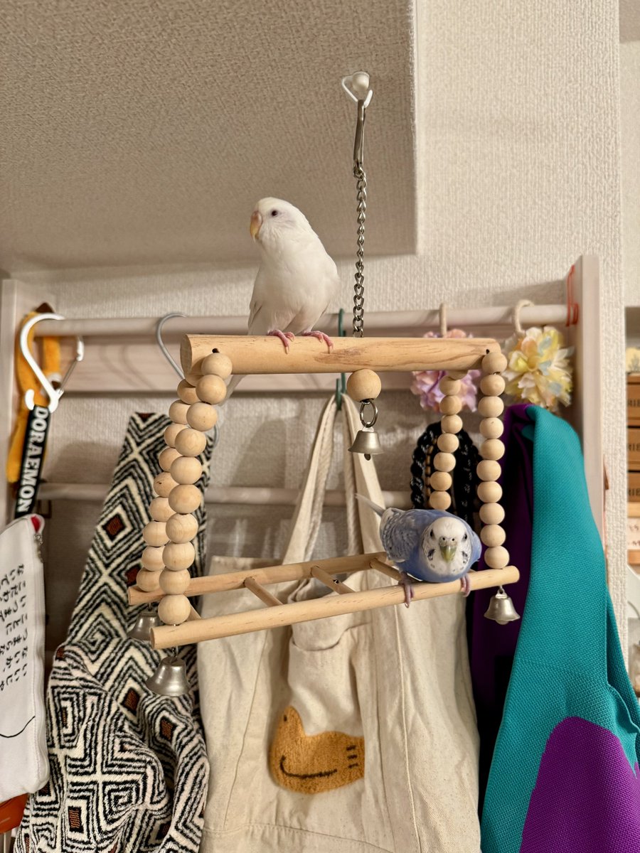 brzm505 is Nobody (@brzm505) / Posts / X