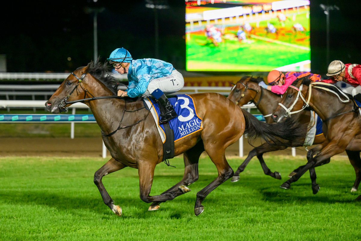 Magic Millions tweet media