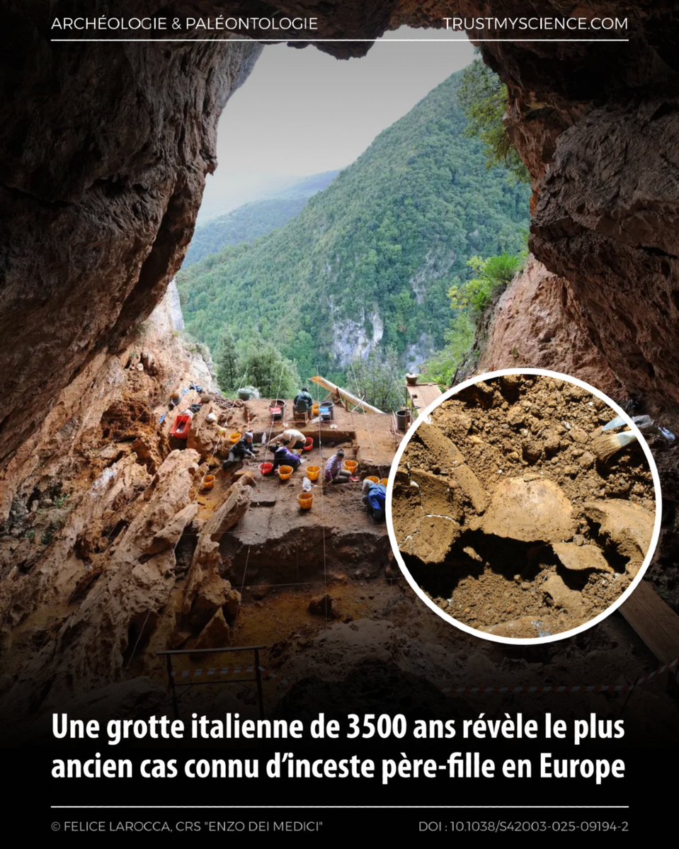 TrustMyScience's tweet image. En Calabre, l’ADN ancien d’un cimetière de l’âge du Bronze révèle une communauté montagnarde très mobile… et le premier cas documenté en Europe préhistorique d’enfant né d’une union parent-enfant au premier degré.

trustmyscience.com/grotte-italien…