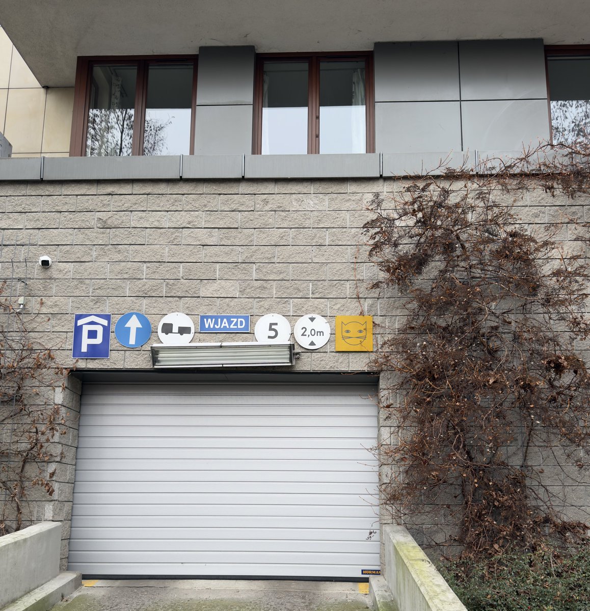 3k's tweet image. Котикам въезд (запрещён)?