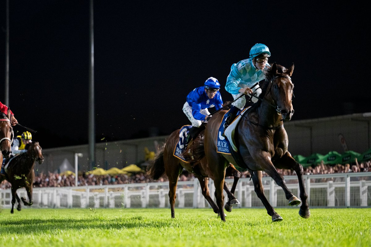 Magic Millions tweet media