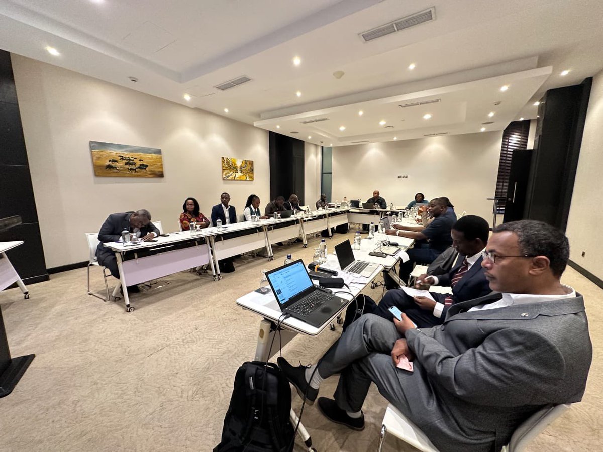 COMESA Governance, Peace and Security tweet media