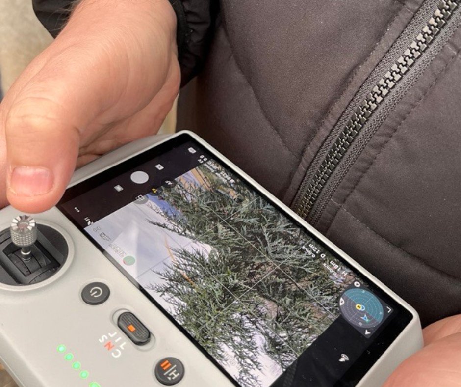 CoLAB ForestWISE tweet media