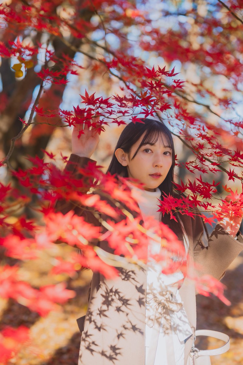 しのぶページ shi/no/bu(しのぶ) (@shinobu_photo77) / Posts / X