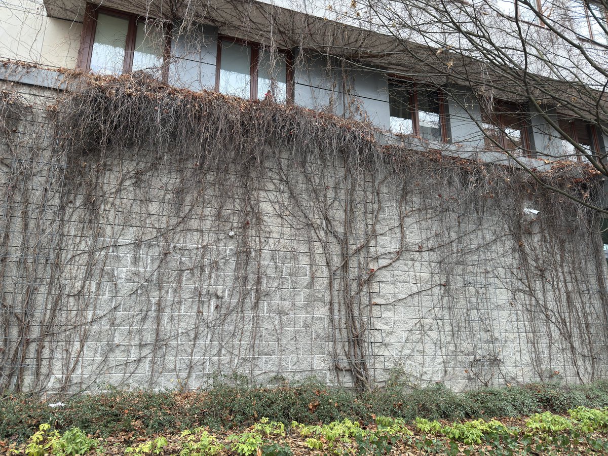 3k's tweet image. На новом здании клёво смотрится