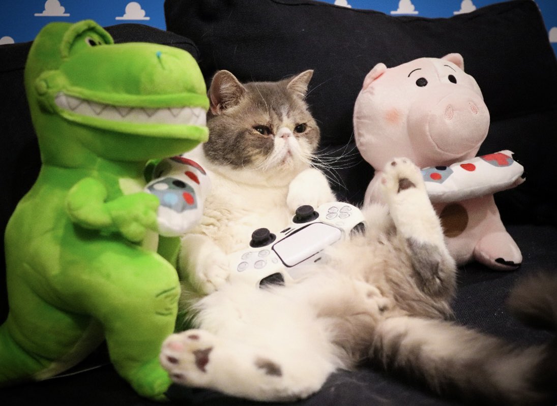 ゲームに夢中。

※雲の背景はAiですが、
本猫たちは本物です！

 #エキゾチックショートヘア  #猫  #トイストーリー
