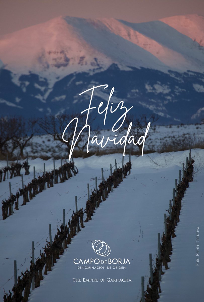 DOP Campo de Borja tweet media