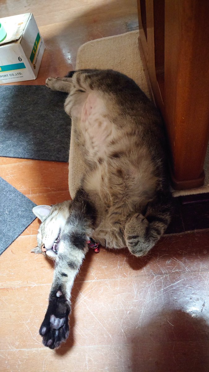 どんな業を重ねるとそのポーズで石化させられるの? 