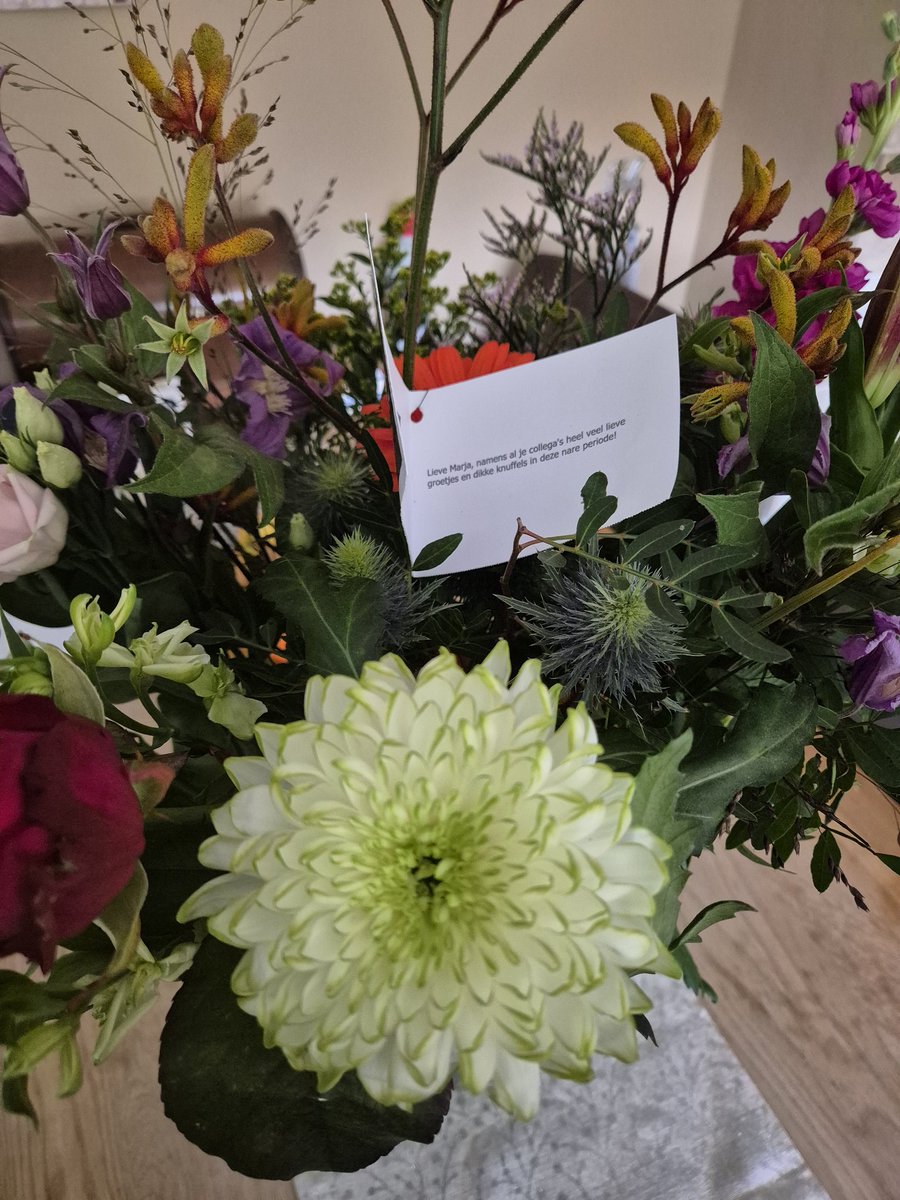 Ik moet weer janken, om mijn liefste collega's 🥰