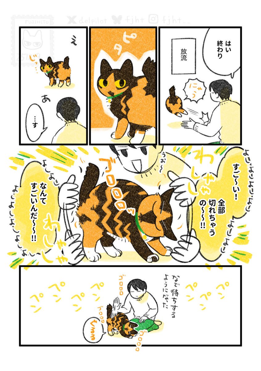 爪切りを頑張る猫