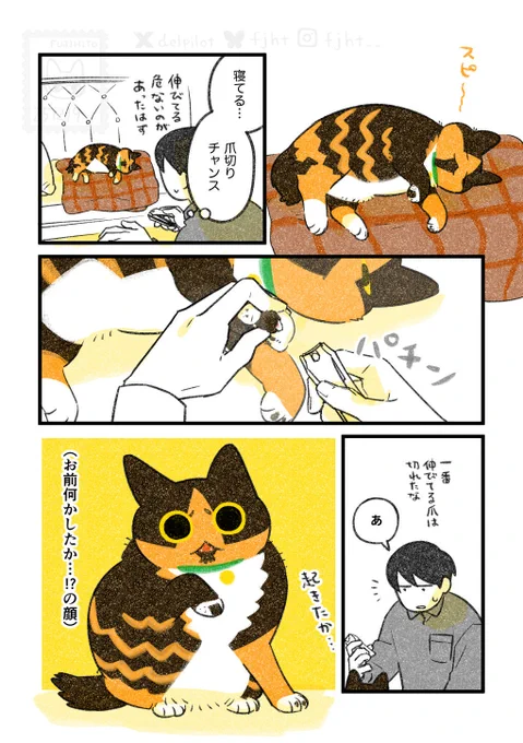 爪切りを頑張る猫 
