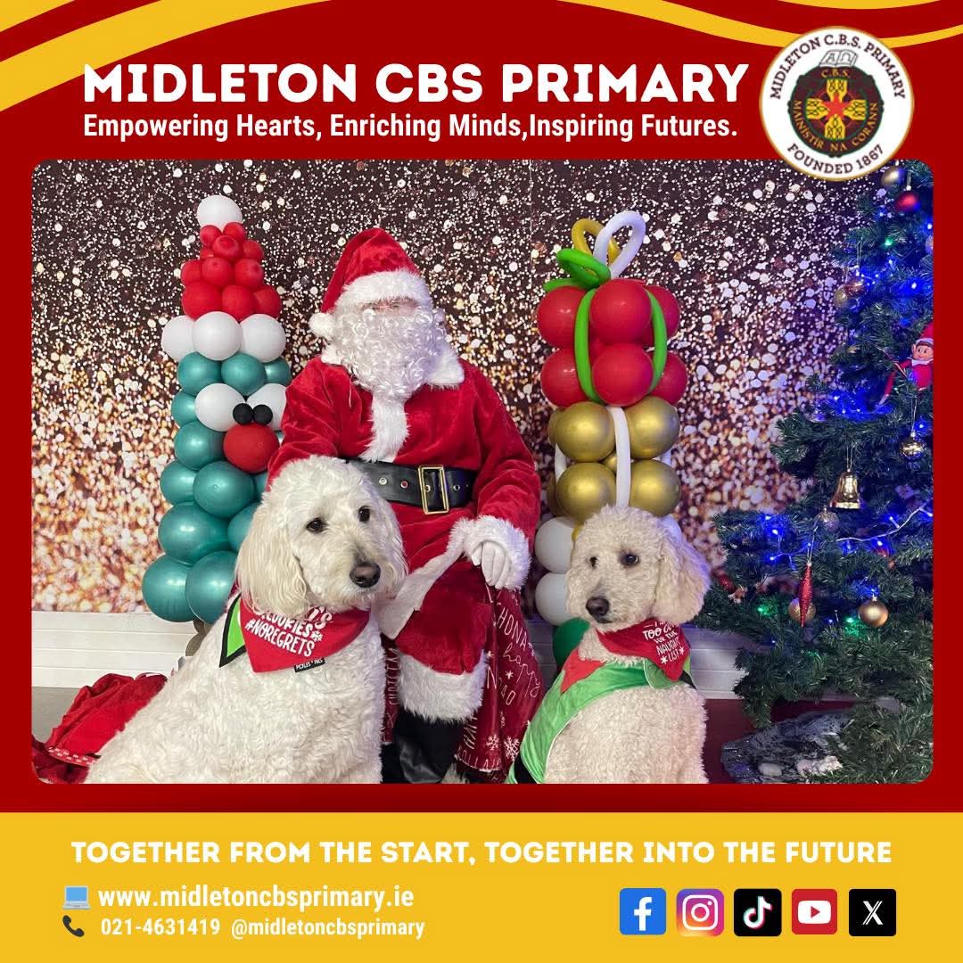 midletoncbs's tweet image. A BIG Happy Christmas from MCC School Therapy Dog Alfie &amp;amp; Steve and all at Midleton CBS Primary!

#mccschooltherapydog #TeamMCC #mccschooltherapydogalfie #midletoncbsprimary #yellowcorridor