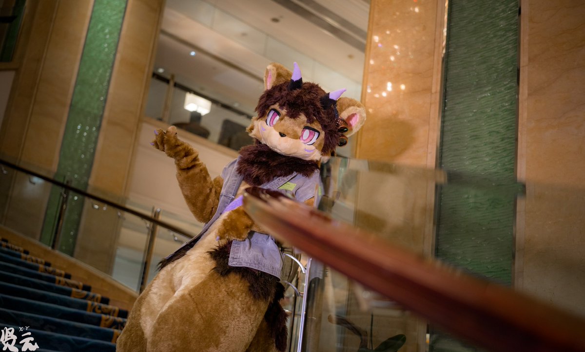 小菊发w tweet media