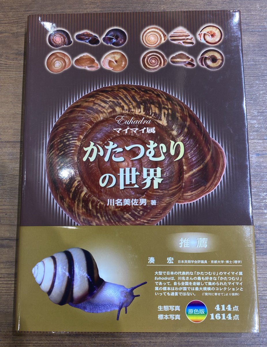 かたつむりの世界 マイマイ属 かたつむりの世界 マイマイ属 マイマイ属