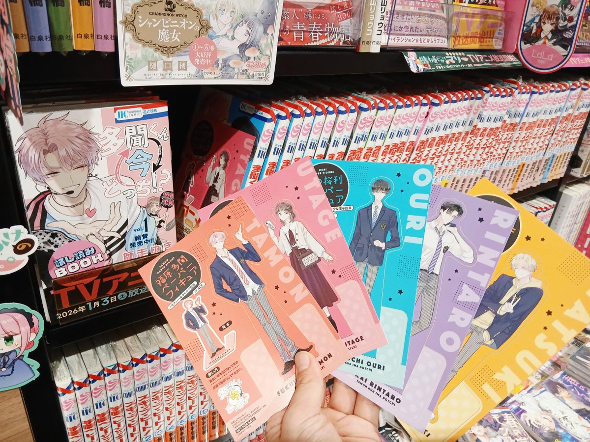 ♠多聞くん今どっち!? 全巻(1〜14巻)　　特典　ペーパーフィギュア 多聞くん今どっち!? アニメ化記念フェア開催中💐 全国の対象書店で