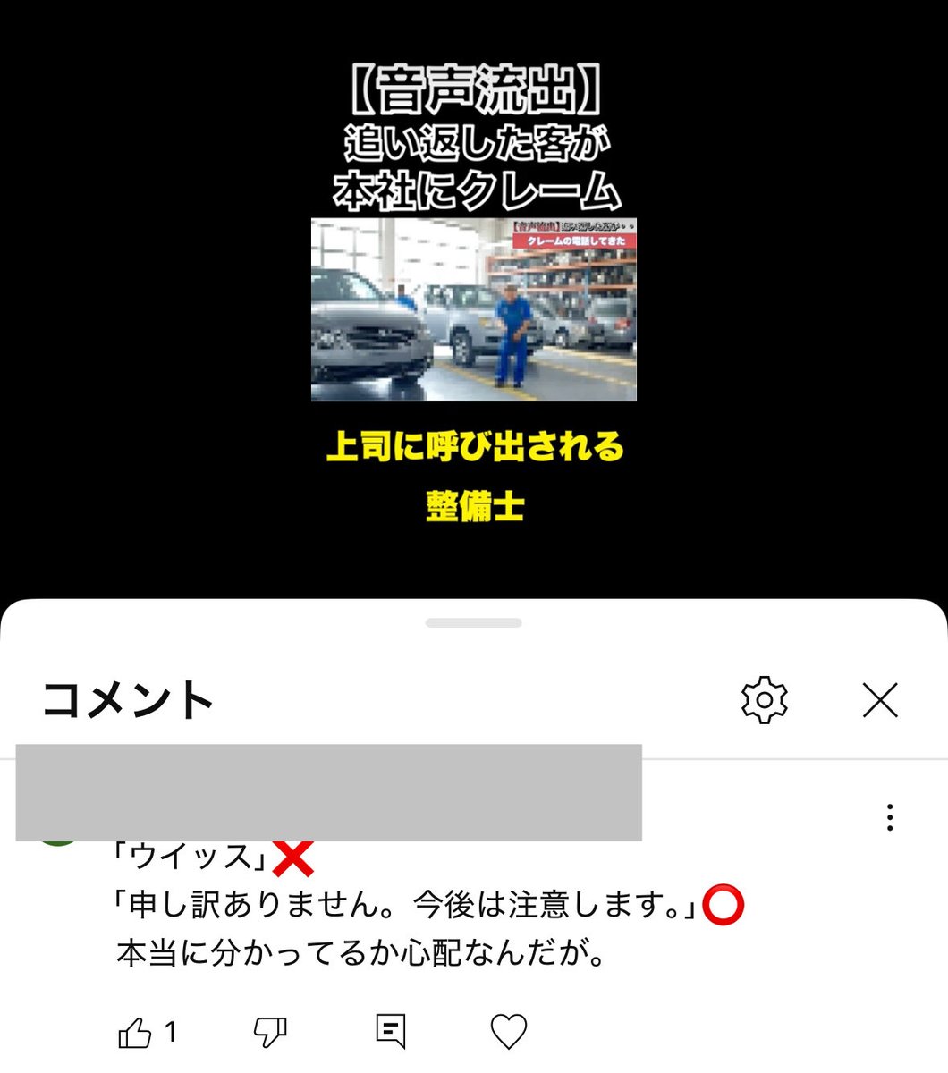 こういうコメントする方が車屋さんに行ったら、めんどくさい客になりそう…