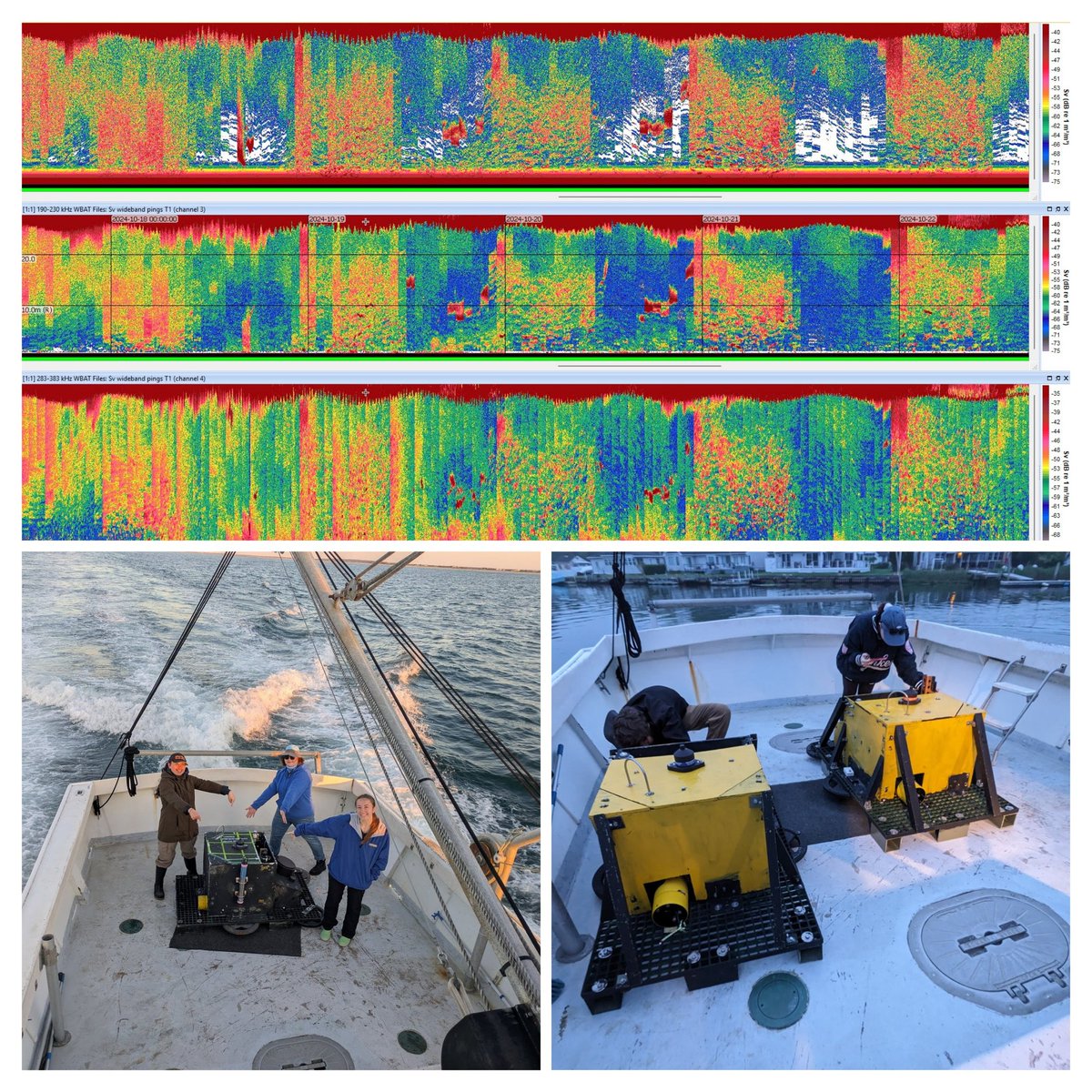 Warren_Lab's tweet image. Come join ALES !  We are hiring a post-doc to work on projects involving long term monitoring w upward looking echosounders and ship-based net and acoustic sampling.  Applications due Jan 18. stonybrooku.taleo.net/careersection/…