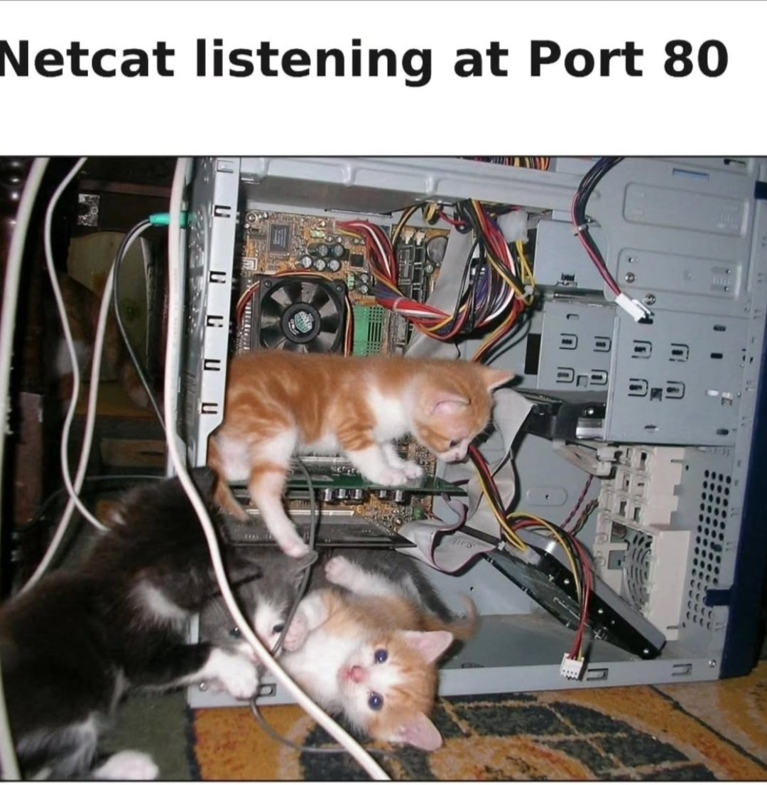 Lucifer__776's tweet photo. nc -l 80 which port you listen? https://t.co/rSrmKCzTH7