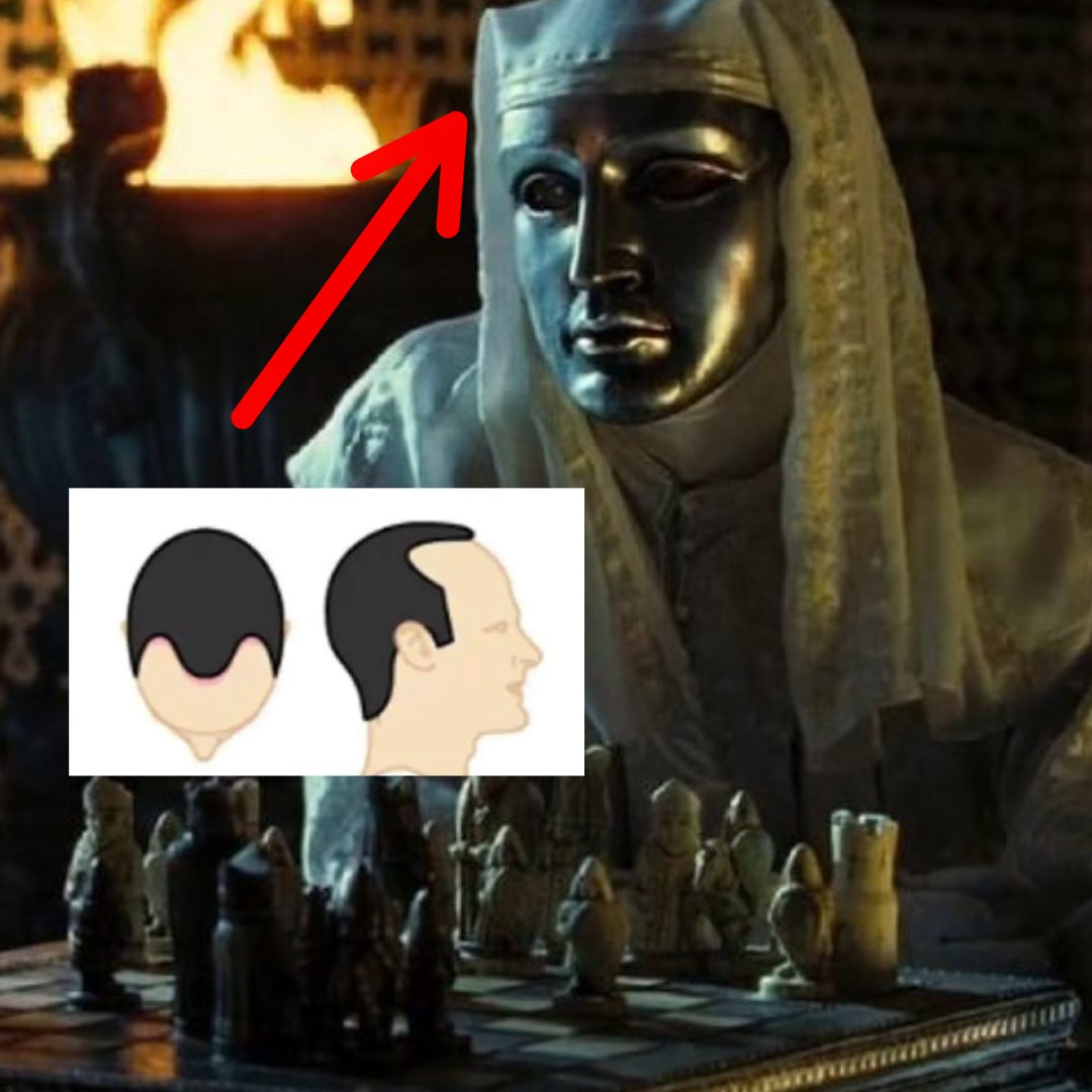 Templarpilled's tweet image. When I was 16, I got a great haircut. I felt in that moment my hair would be with me forever.

Now I know it shall not see 30.