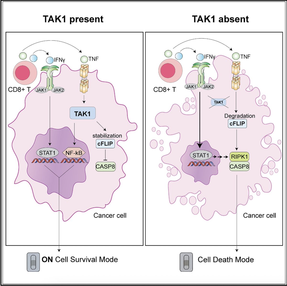 Eric Topol tweet media
