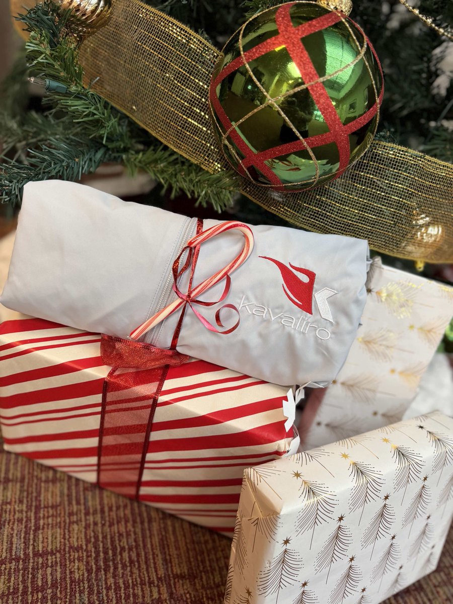 Kavaliro tweet media