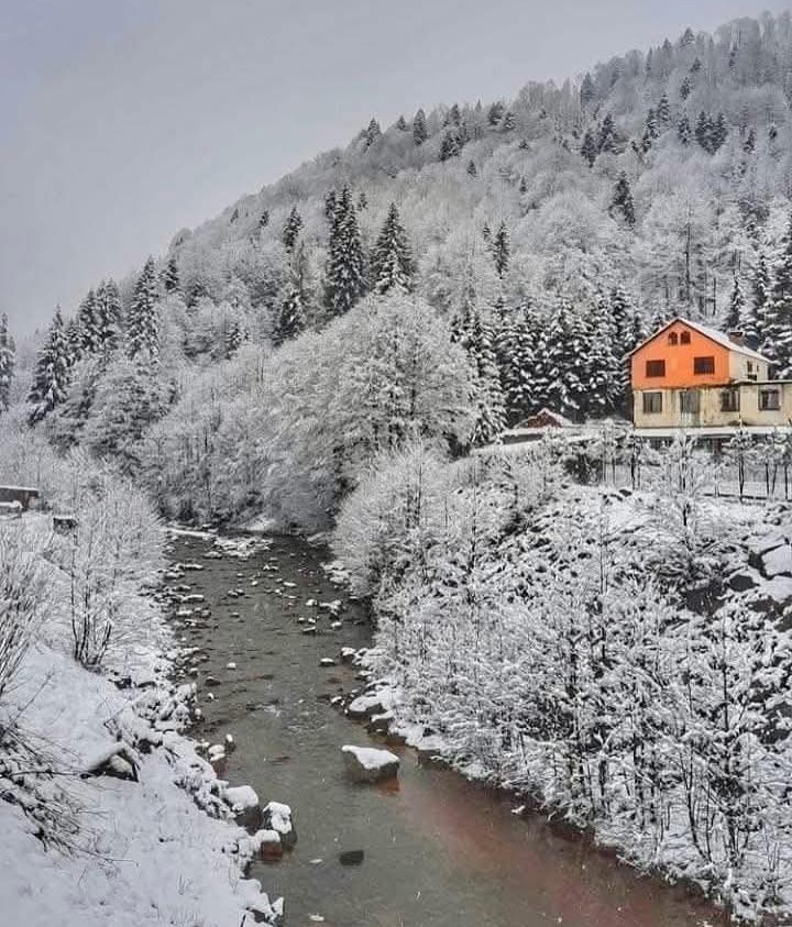 Evsiz insanlar olmasaydı kar yağışını seyretmek çok daha harika olurdu...

Hayırlı akşamlar diliyorum ☕✨🌙