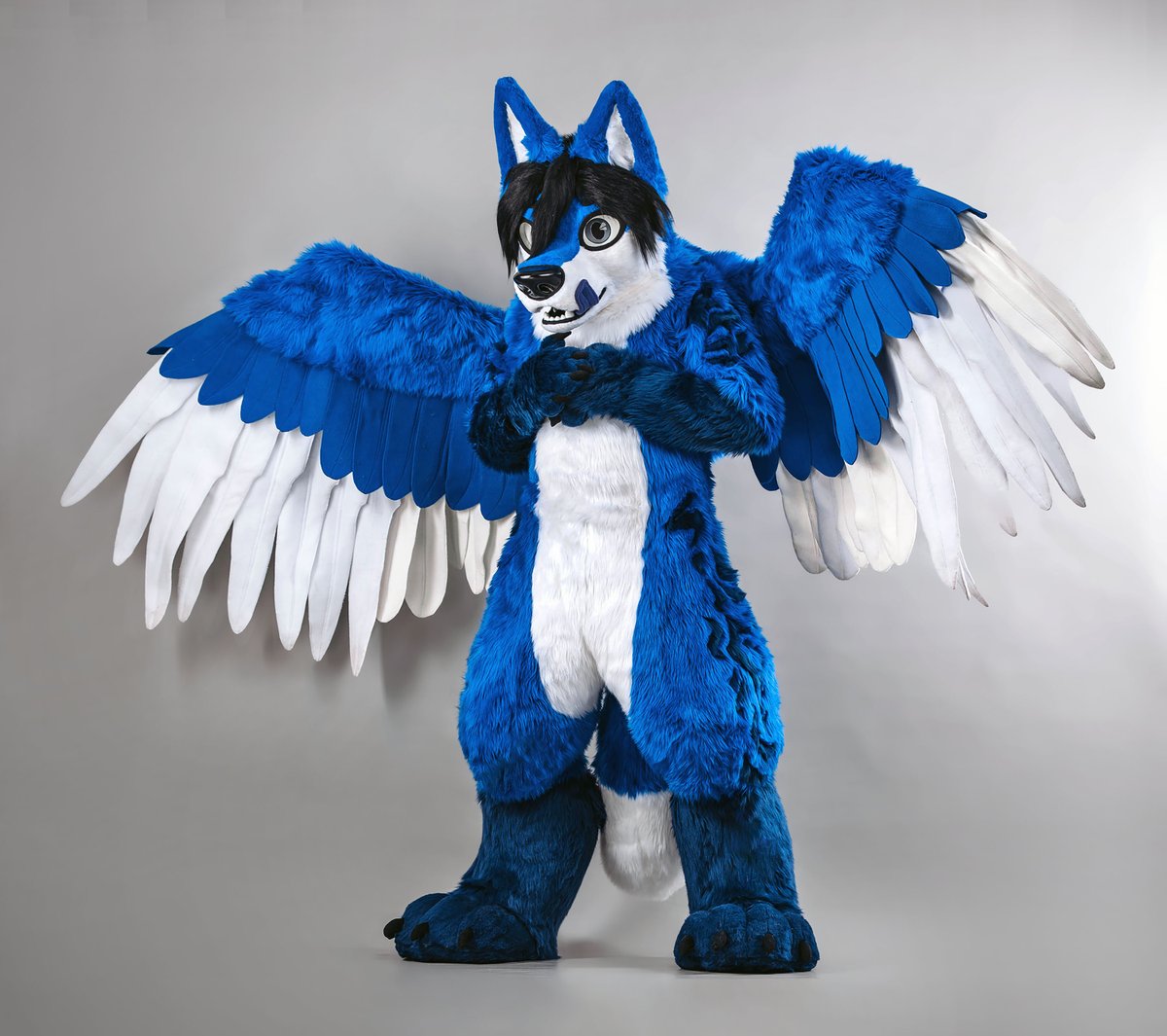 🌓🐺 Wolf Factory 🐺🌗 tweet media