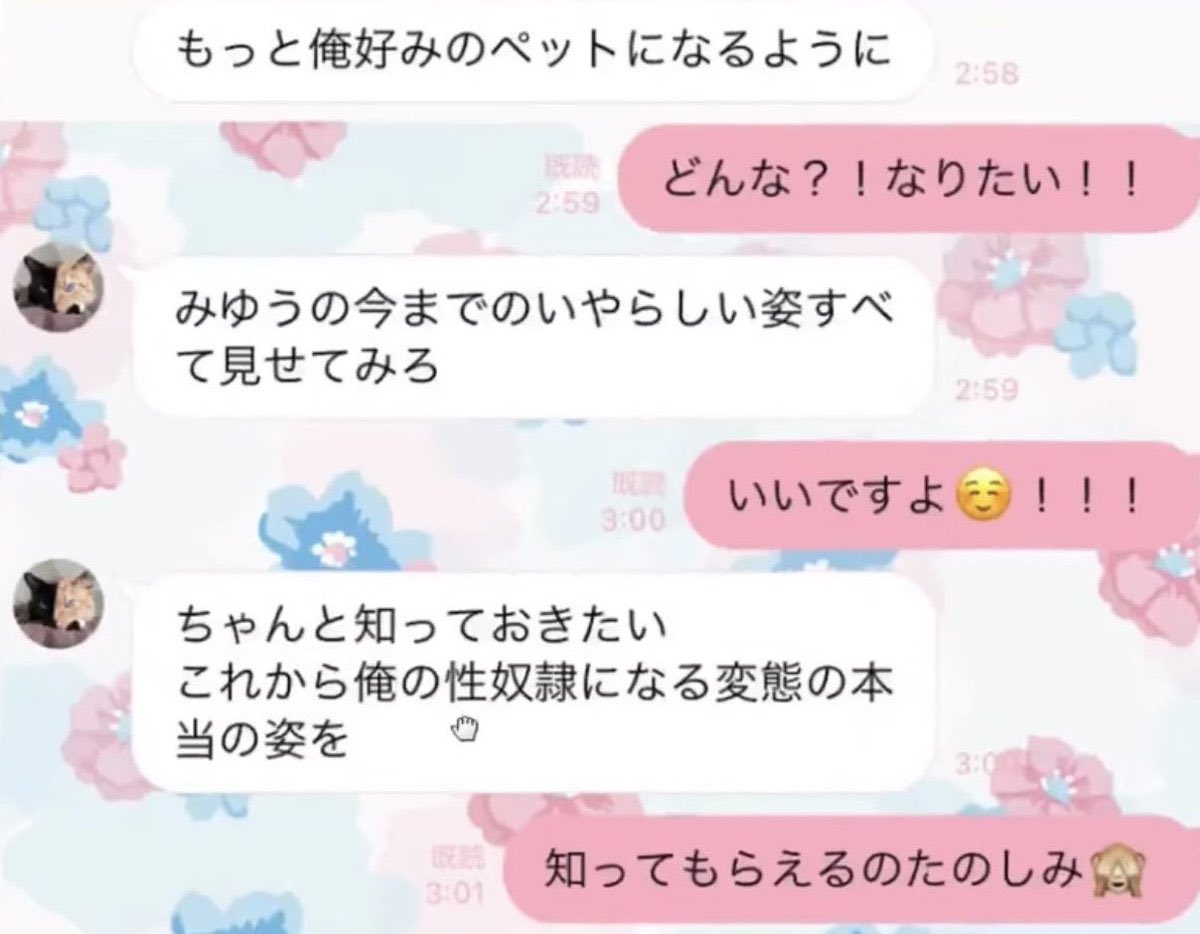 ヒカルの流出したLINE、まだ味する。