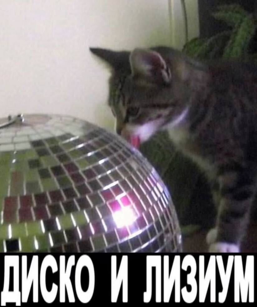 С пятничкой✌