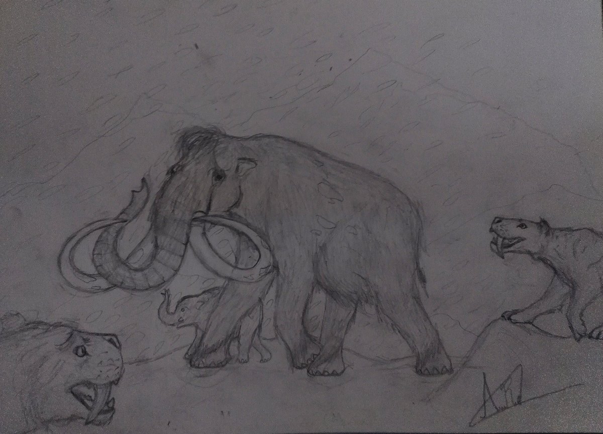 Sabertooths (smilodon fatails) hunting a mother wooly mamoth (mammuthus primigenius) and her child on a winter snowstorm