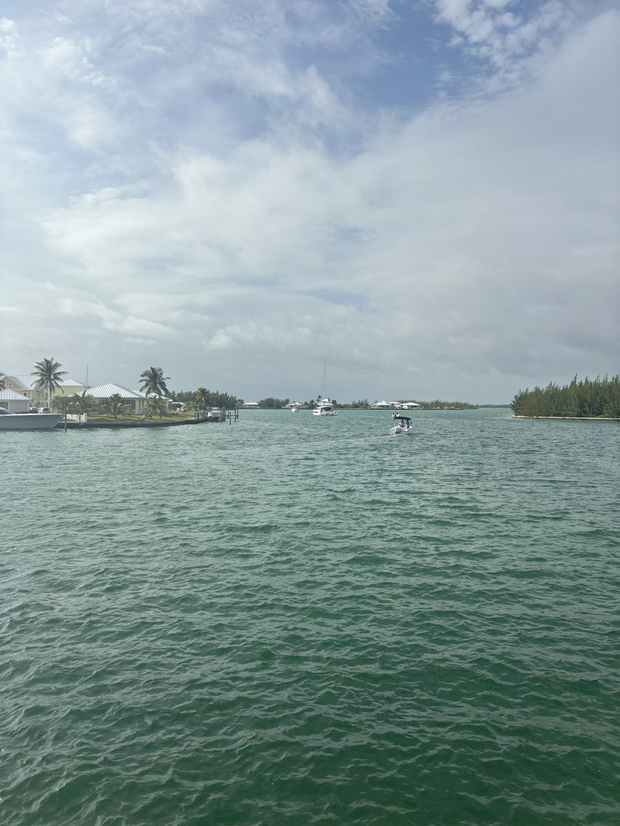 Hayes | Hollistic Health 🇺🇸 🇨🇭 🇮🇪 tweet media