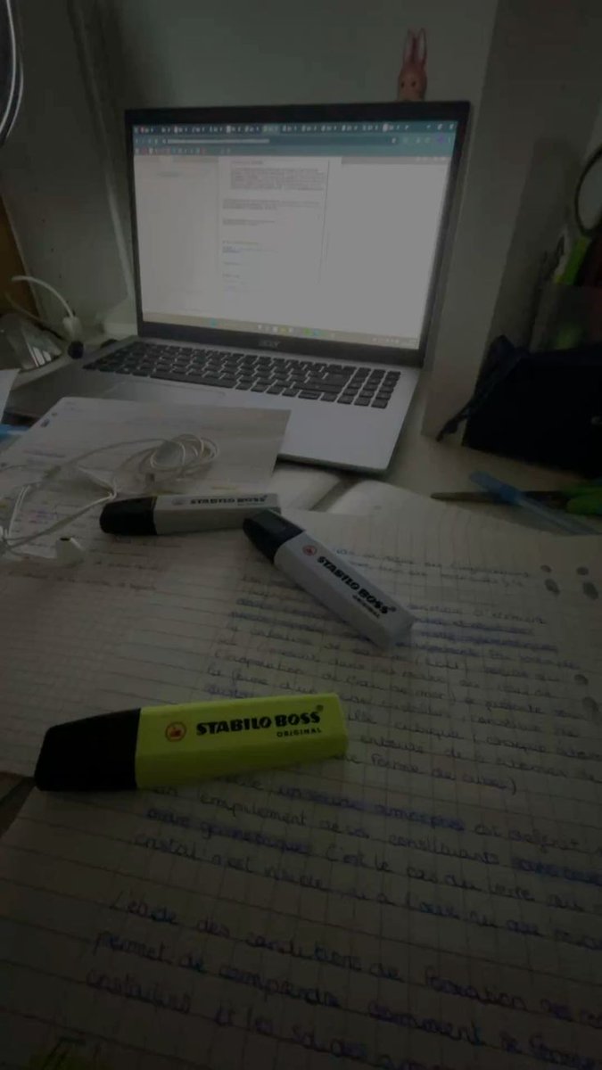 lona (~^-^)~ tweet media