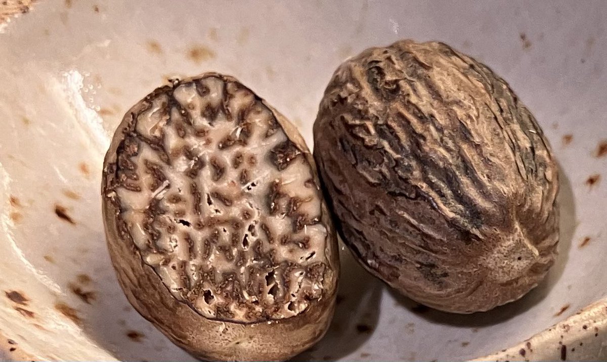 OSvastics's tweet photo. Bitpazarlarında çok bulunuyor bunlardan, ayrı Muskat çekmecesi olan bile varmış! Zira 1600’lerden beri Viyana mutfağında kullanılıyormuş. Ben buraya taşınana kadar hiç Muskat cevizi kullanmamıştım. Ne zamandır yaygın olduğunu da yeni fark ettim zaten. #muskat #viyana https://t.co/PgdEJMSM3R