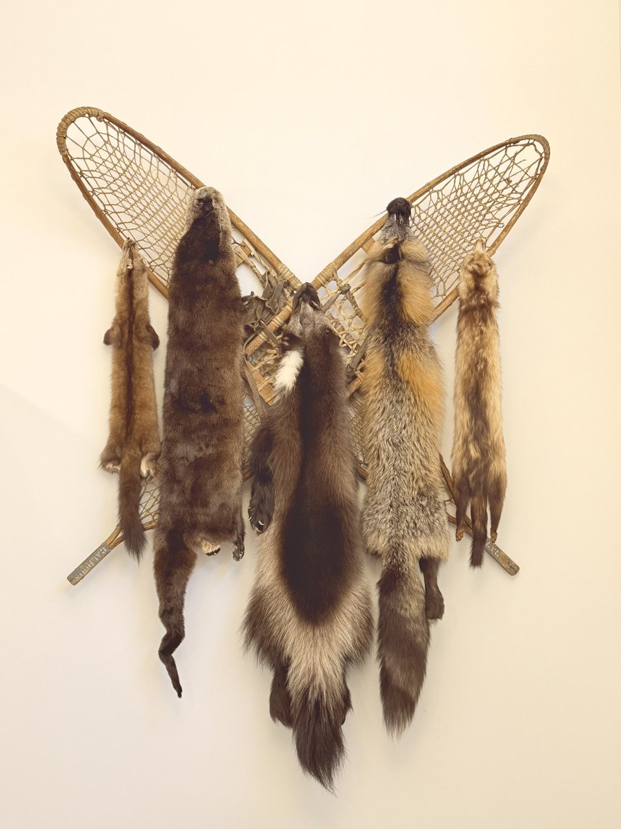 ᐋᐧᐳᐢ ᒥᓯᐟ tweet media