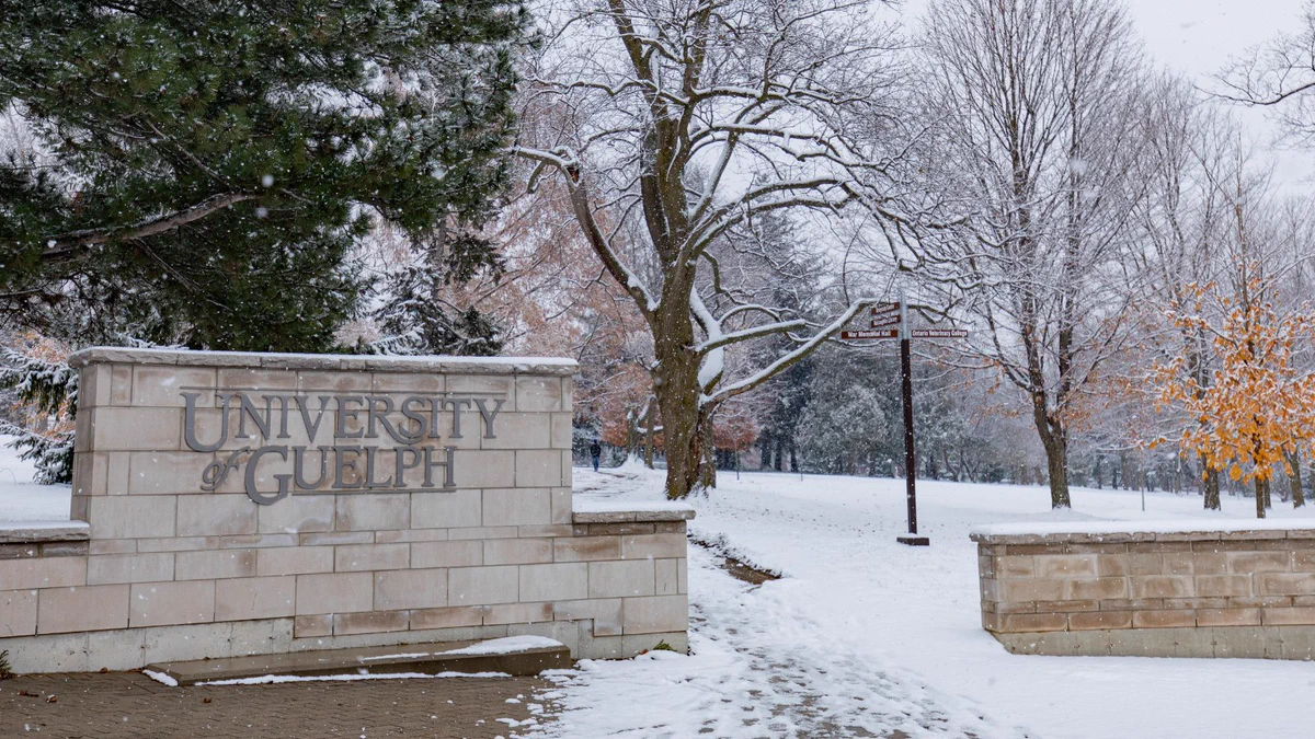 Winter scene at the University of Guelph with snow-covered grounds, trees, and a prominent entrance sign.