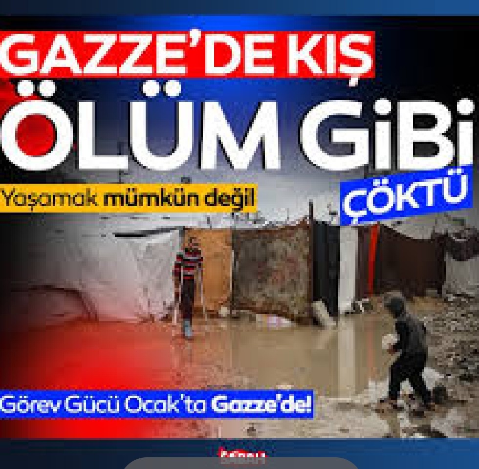 Gazze için harekete geçin❗️
  🆘🆘🆘🛖

💥 Gazze İçin Konteyner
🛖#ContainersForGaza