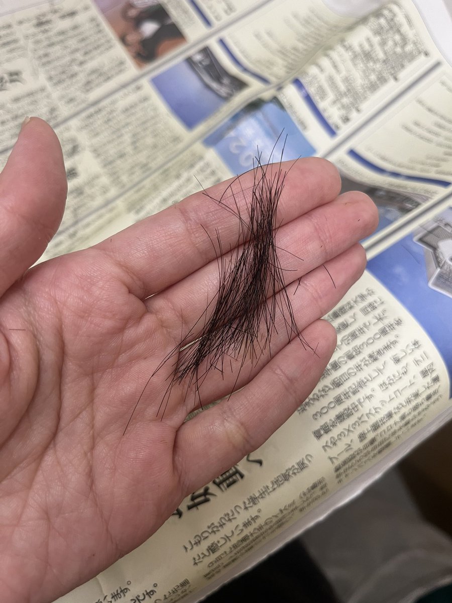 酒の勢いで切っていい前髪だったか……？