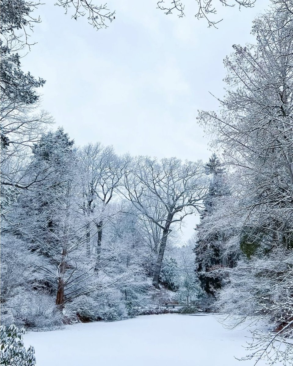 CambridgeUSA's tweet photo. Winter in Cambridge ❄️✨

📷: ktmccreedy, pipitrosianty, pedrohmbsn, tuannnn_ (Instagram) https://t.co/XjiBzv7DfO