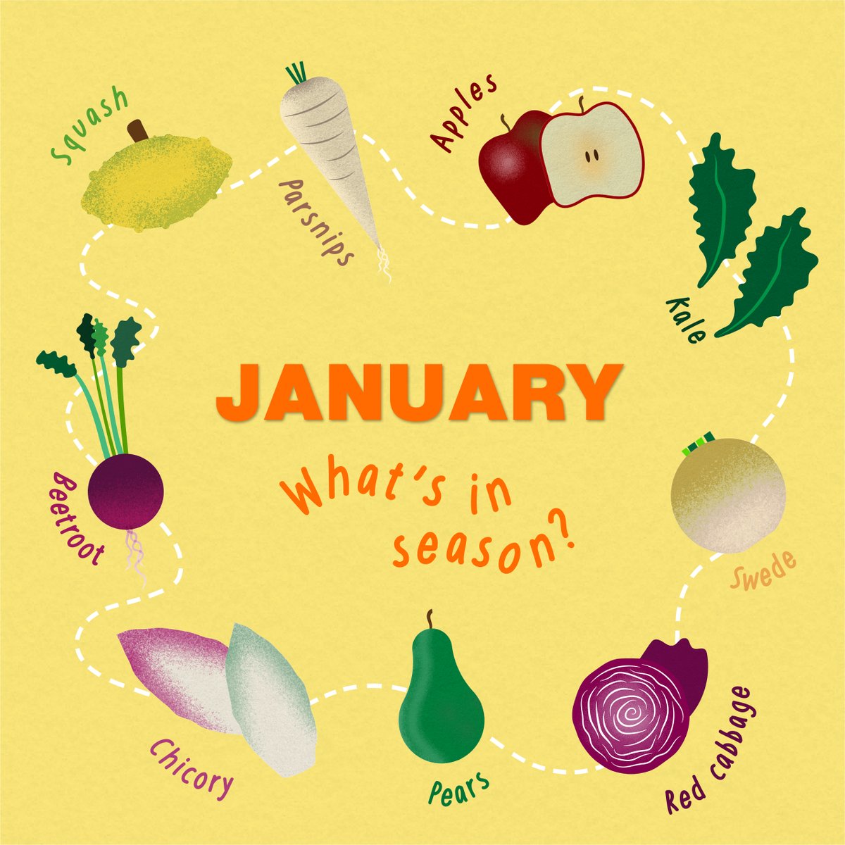 Feeling the post-Christmas slump? 🥱 Give your body a boost with these vitamin-packed seasonal goodies!

For more information on seasonal eating visit foodsavvy.org.uk/january
#SeasonalEating #JANUARY
