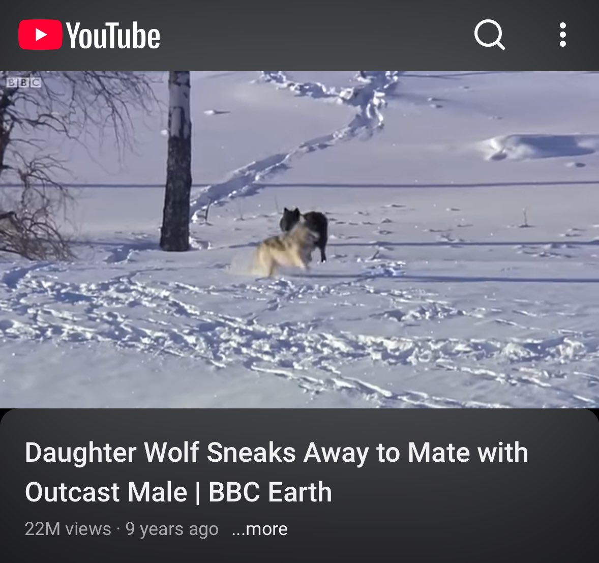 Return2Order's tweet image. 