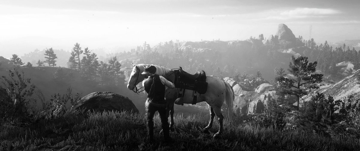 Red Dead Redemption 2    

#RedDeadRedemption2 • #VirtualPhotography •  #ukrVP • #VPHiddenGems • #VPWorld • #VPRT