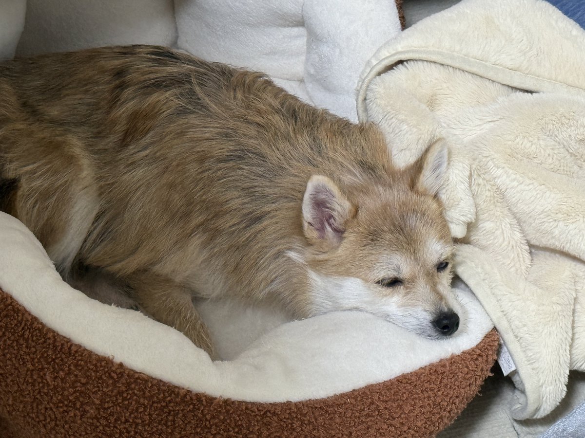 たなキャちゃんねる tweet media