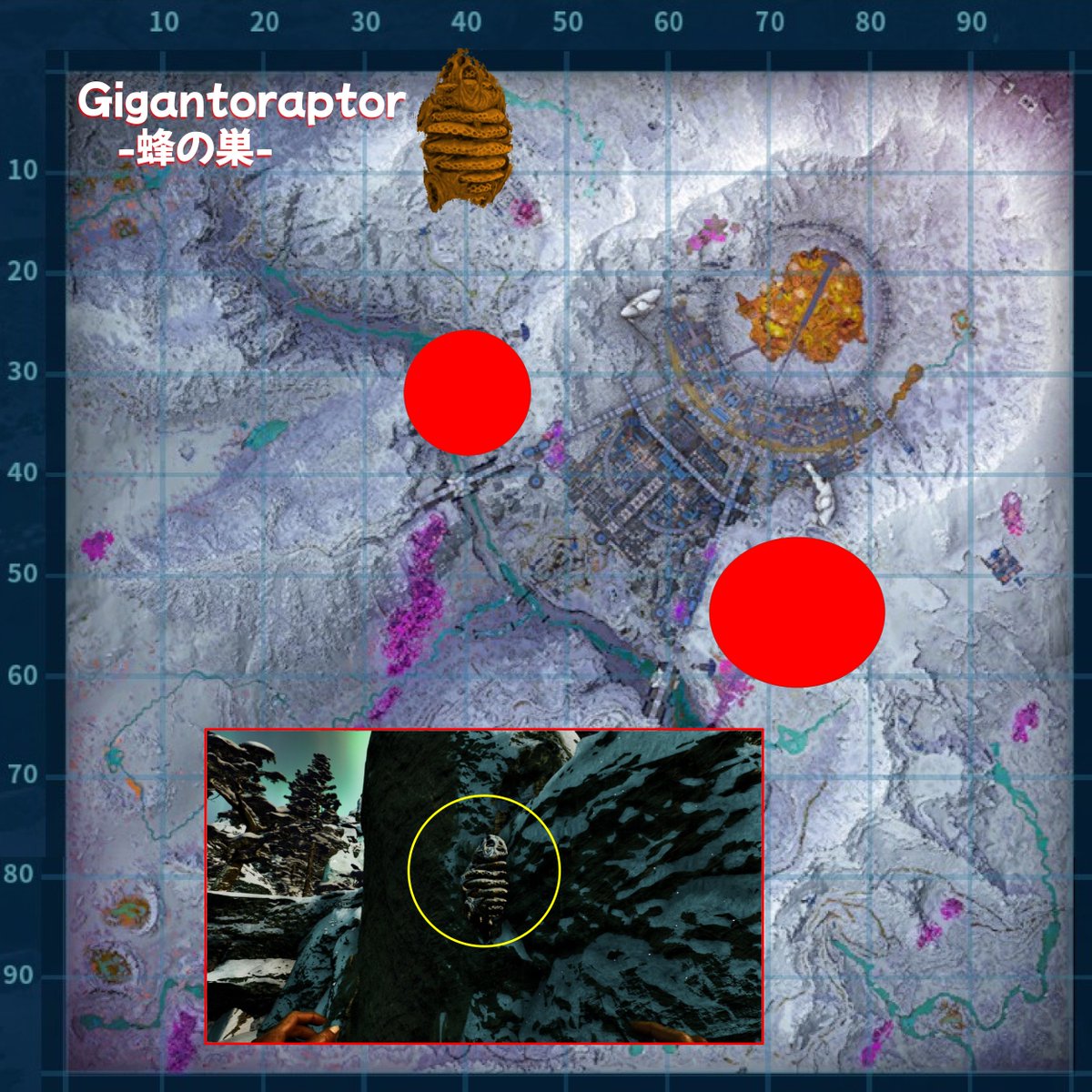 🐝蜂の巣マップ🐝 今回は久しぶりに散歩型じゃなく 巣みたい（崖上から