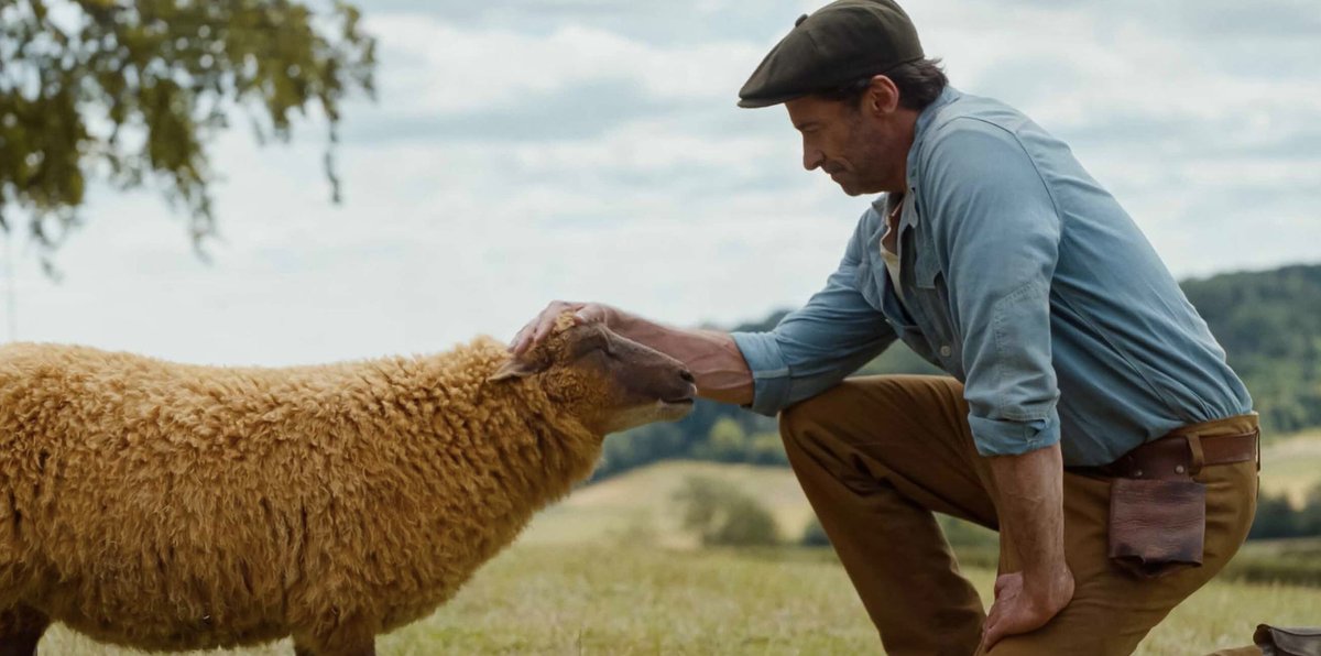 The Sheep Detectives Updates tweet media