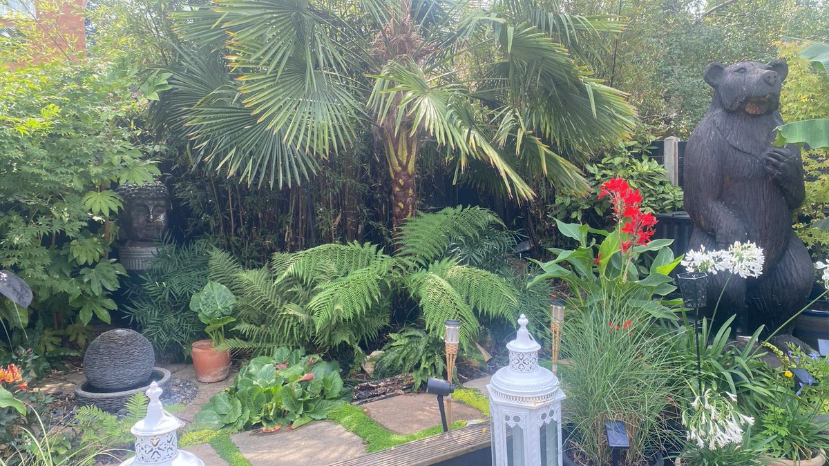 HertfordshirNGS's tweet image. NEW FOR 2026! 46 Belmont Road in #HemelHempstead is a tropical oasis garden to relax on spacious decking, spot wildlife by the pond, or unwind in the summerhouse. Meet Belmont, the 6ft wooden bear, ready to welcome you. A calm, lush &amp;amp; leafy escape awaits.👉tinyurl.com/ye7uwrrw