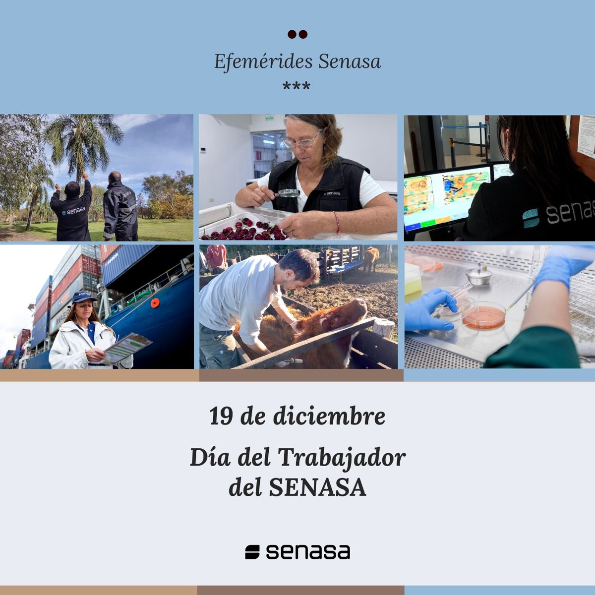 Hoy celebramos un año más trabajando por la sanidad animal, la protección vegetal y la inocuidad alimentaria 🇦🇷, así como para las necesidades de los mercados globales que confían en nosotros (Resolución N.° 827/2006).